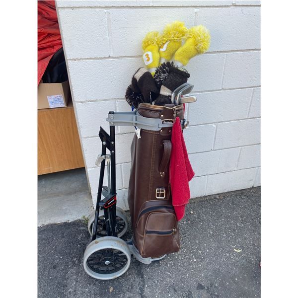 Golf clubs and bag