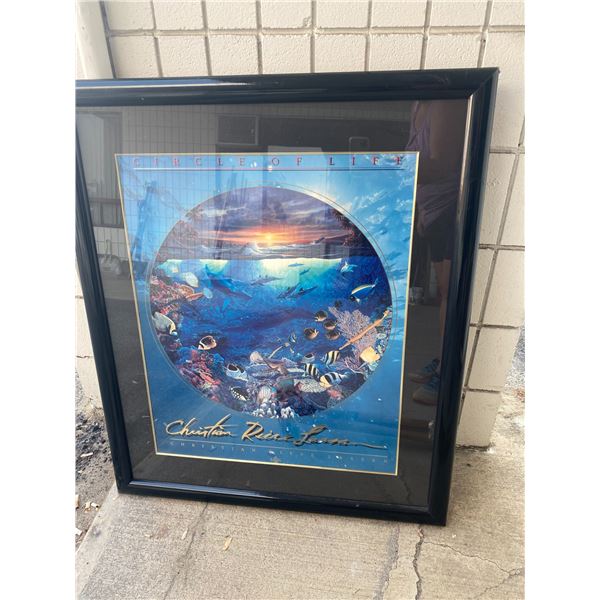 Circle of Life picture