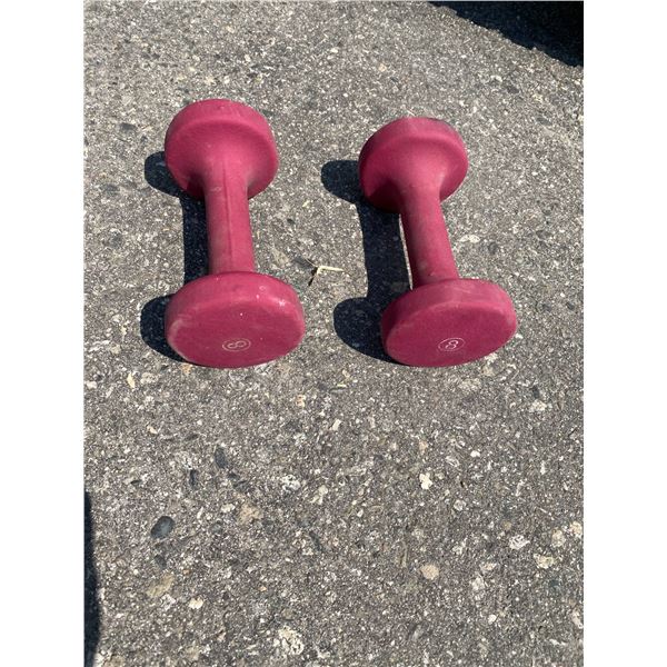 8lbs weights