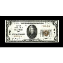Trenton, TX - $20 1929 Ty. 1 The First NB Ch. #
