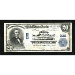 Mount Pleasant, IA - $20 1902 Plain Back Fr. 650