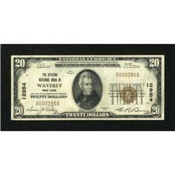 Waverly, NY - $20 1929 Ty. 1 The Citizens NB Ch.