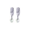 Image 1 : Genuine 1.30 ctw Aquamarine Earrings 14KT White Gold - REF-29M2T