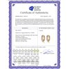 Image 2 : Genuine 0.95 ctw Tanzanite Earrings 14KT Yellow Gold - REF-42A7K