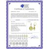 Image 2 : Genuine 34.15 ctw Lemon Quartz & Diamond Earrings 14KT Yellow Gold - REF-73W3Y