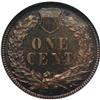 Image 2 : 1883 1C Red and Brown PR65 NGC