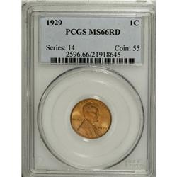 1929 1C Red MS66 PCGS