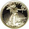 Image 1 : 1991-P G$5 Tenth-Ounce Gold Eagle Deep Cameo PR70 NGC