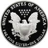 Image 2 : 1996-P $1 Silver Eagle Deep Cameo PR70 NGC