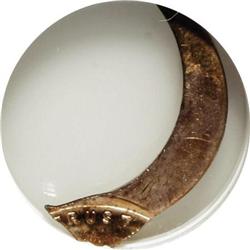 1959 1C Red MS65 NGC