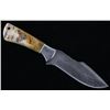 Image 2 : M.T. Knives of Bozeman Rams Horn Damascus Knife