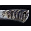 Image 7 : M.T. Knives of Bozeman Rams Horn Damascus Knife
