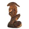 Image 1 : Mark Colp Native American Bust Chainsaw Carving