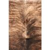 Image 10 : Tri Color Brindle Light Brown Premium Cowhide
