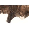 Image 4 : Tri Color Brindle Light Brown Premium Cowhide