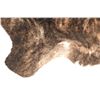 Image 7 : Tri Color Brindle Light Brown Premium Cowhide