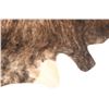 Image 8 : Tri Color Brindle Light Brown Premium Cowhide