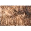 Image 9 : Tri Color Brindle Light Brown Premium Cowhide