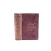 Image 1 : 1873 1st Ed. Five Years in the Territory by Beadle