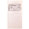 Image 21 : 1873 1st Ed. Five Years in the Territory by Beadle