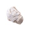 Image 2 : Gypsum Alabaster Young Gypsy Woman Bust c. 19th C