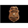 Image 2 : CCP Security Sergeant & Security Officer Badges