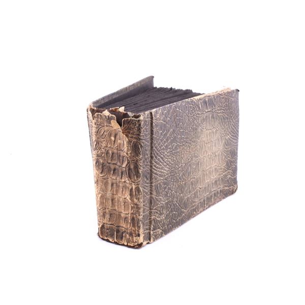 Yellowstone Park Haynes 100 Postcard Collection