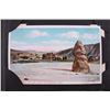 Image 6 : Yellowstone Park Haynes 100 Postcard Collection
