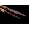 Image 14 : South African Bushman Bamboo Shaft Hunting Arrows