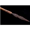 Image 6 : South African Bushman Bamboo Shaft Hunting Arrows