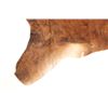 Image 4 : Natural Light Brown Brindle Premium Cowhide