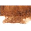 Image 7 : Natural Light Brown Brindle Premium Cowhide