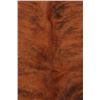 Image 9 : Natural Light Brown Brindle Premium Cowhide