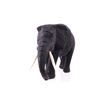 Image 11 : South African Leadwood Elephant Collection