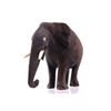Image 20 : South African Leadwood Elephant Collection