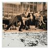 Image 1 : Jackson Pollock at Work by "Ringo" Daniel Funes