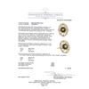 Image 5 : 4.85 ctw Round Mixed Yellow Zircon And Round Brilliant Cut Diamond Ring - 18KT Y