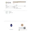 Image 6 : 9.04 ctw Tanzanite and Diamond Ring - 14KT White Gold