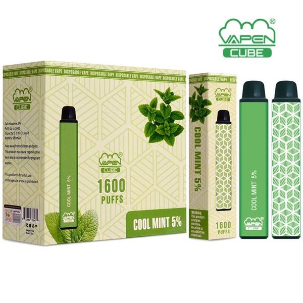 ONE 1600 PUFFS VAPEN CUBE 5% COOL MINT