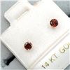Image 1 : EC201-101 14K  GARNET EARRINGS