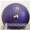 Image 1 : PURPLE NIBBED FITNESS BALL