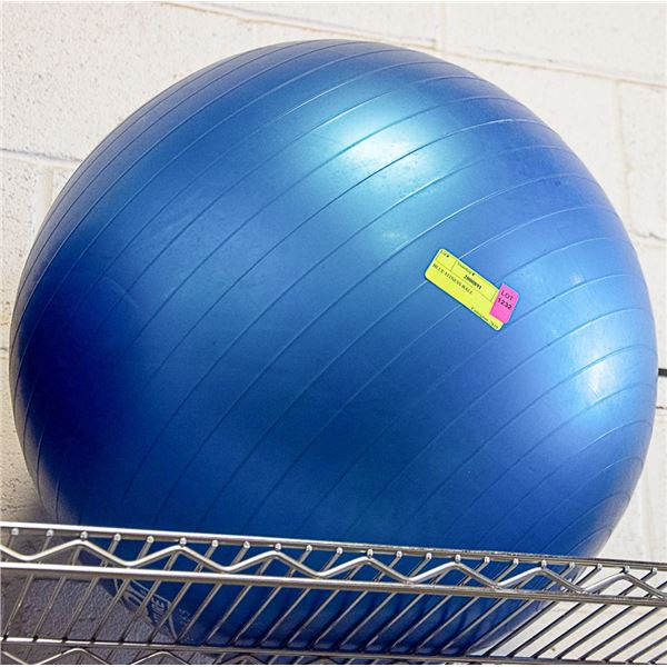 BLUE FITNESS BALL
