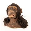Image 3 : Sharper Image Wowee Alive Chimpanzee WW258