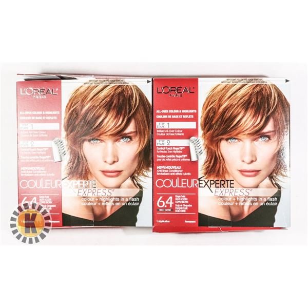 BAG OF L'OREAL PARIS HAIR COLOUR HIGHLIGHTERS