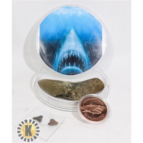 FOSSILIZED MEGALODON TEETH & 1OZ COPPER ROUND