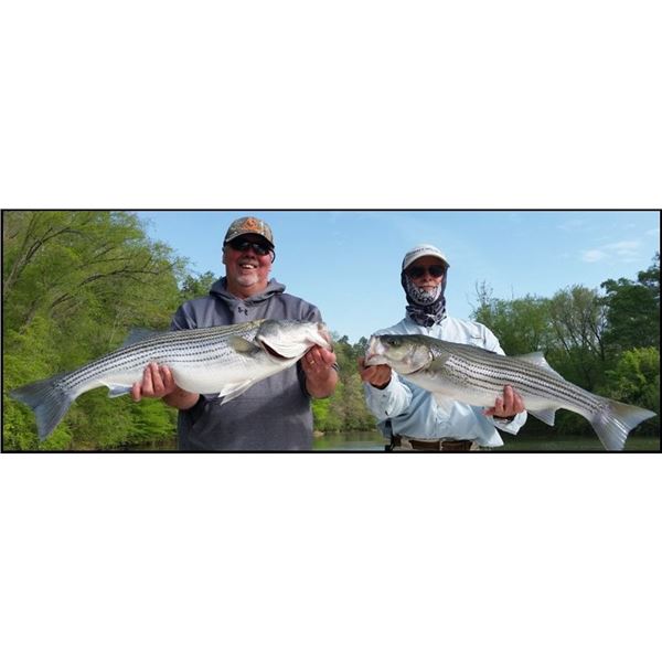 Four-Hour Striper Fishing Trip for Four People with The Striper Experience