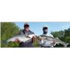 Image 1 : Four-Hour Striper Fishing Trip for Four People with The Striper Experience