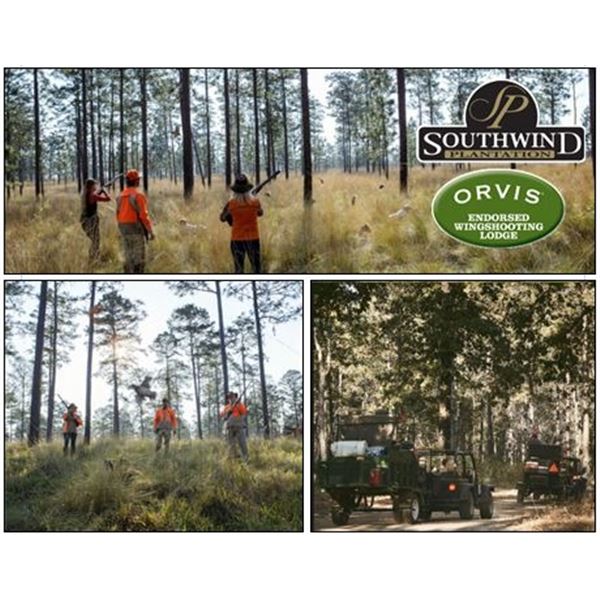 Half-Day Quail Hunt for Four Hunters with Lunch at Orvis-Endorsed SouthWind Plantation