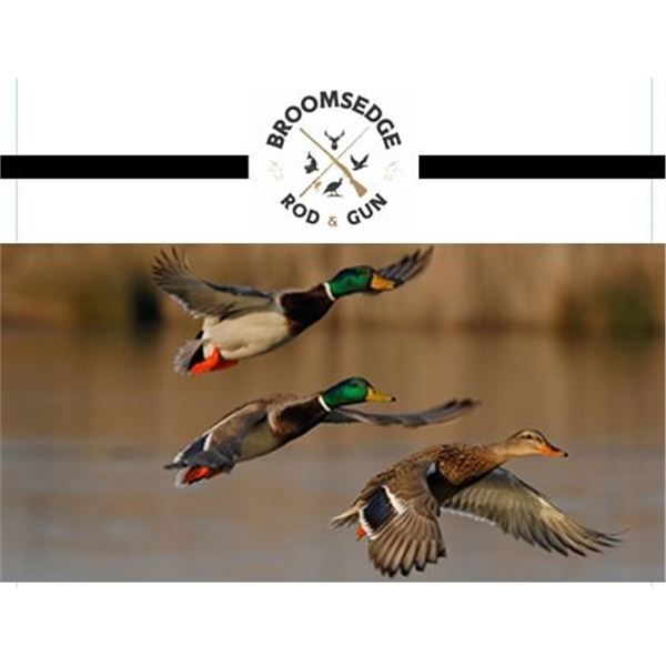 Flighted Mallard Hunt for Four Hunters and Lodging at Broomsedge Rod & Gun