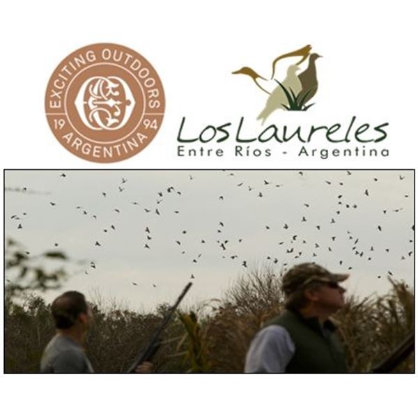 Four-Day High Volume Dove Hunt in Argentina for Four People